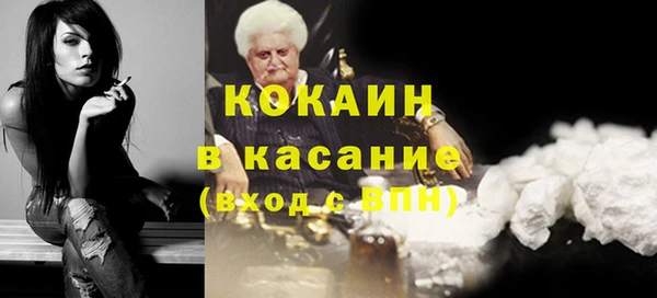 индика Армянск