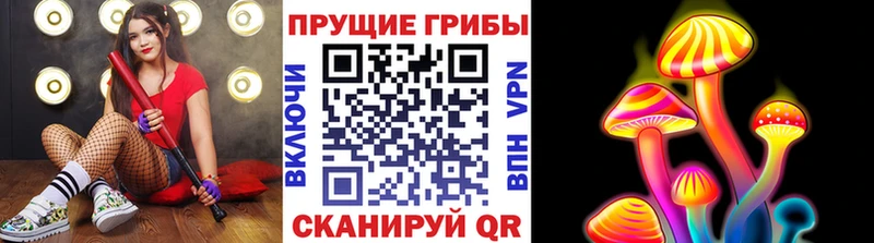 Псилоцибиновые грибы Psilocybe  Ишимбай 